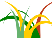 logo Cover Agroecologiche