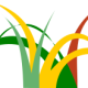 logo Cover Agroecologiche