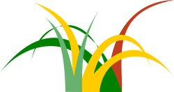 logo Cover Agroecologiche